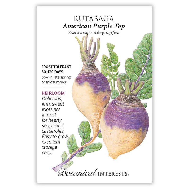 American Purple Top Rutabaga Seeds