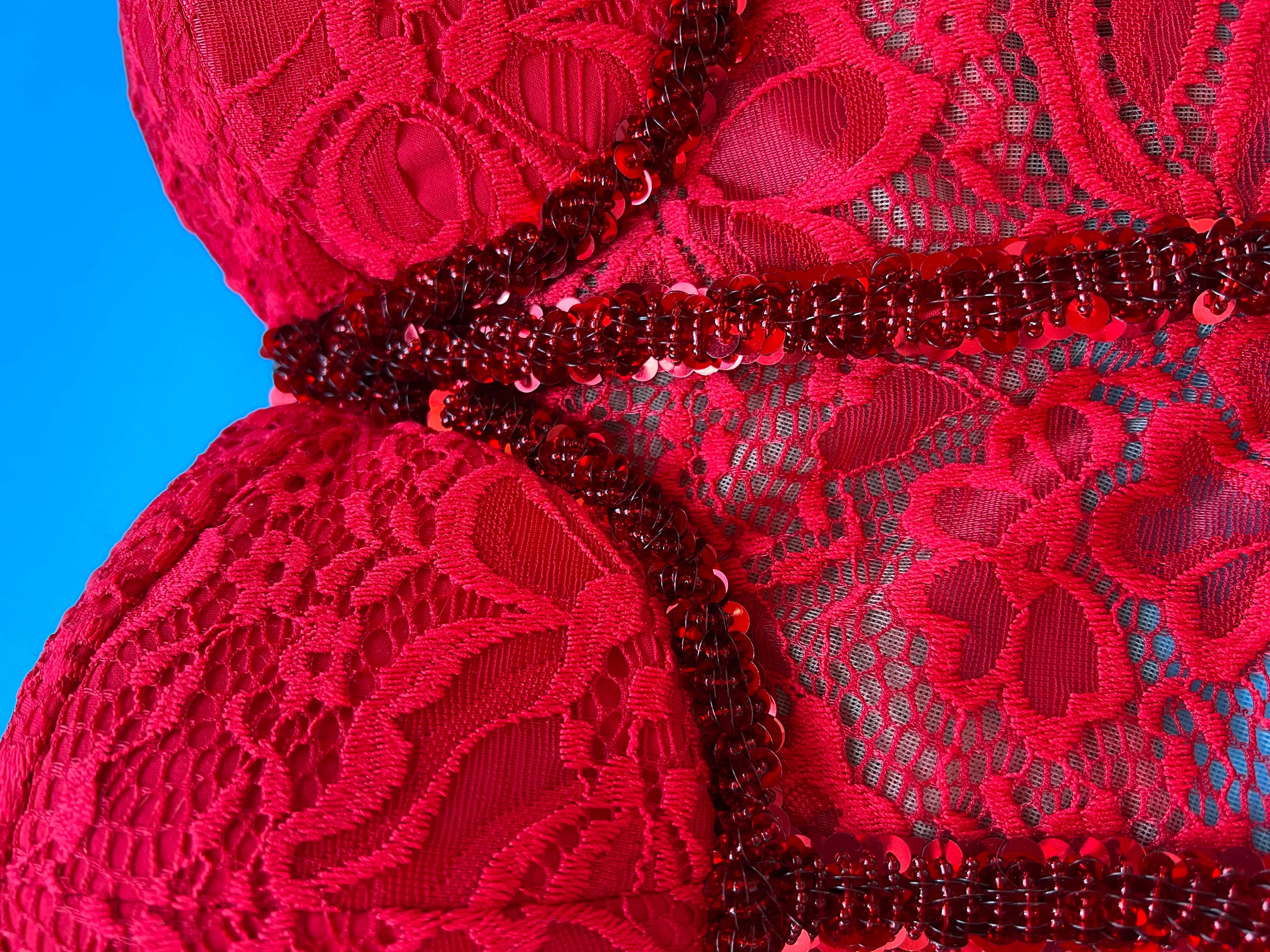 Red Sexy Women Clothing  Corset Top Christmas  Costume Strapless Lace Beads and Sequins Corset with Beads Hand Embroidery